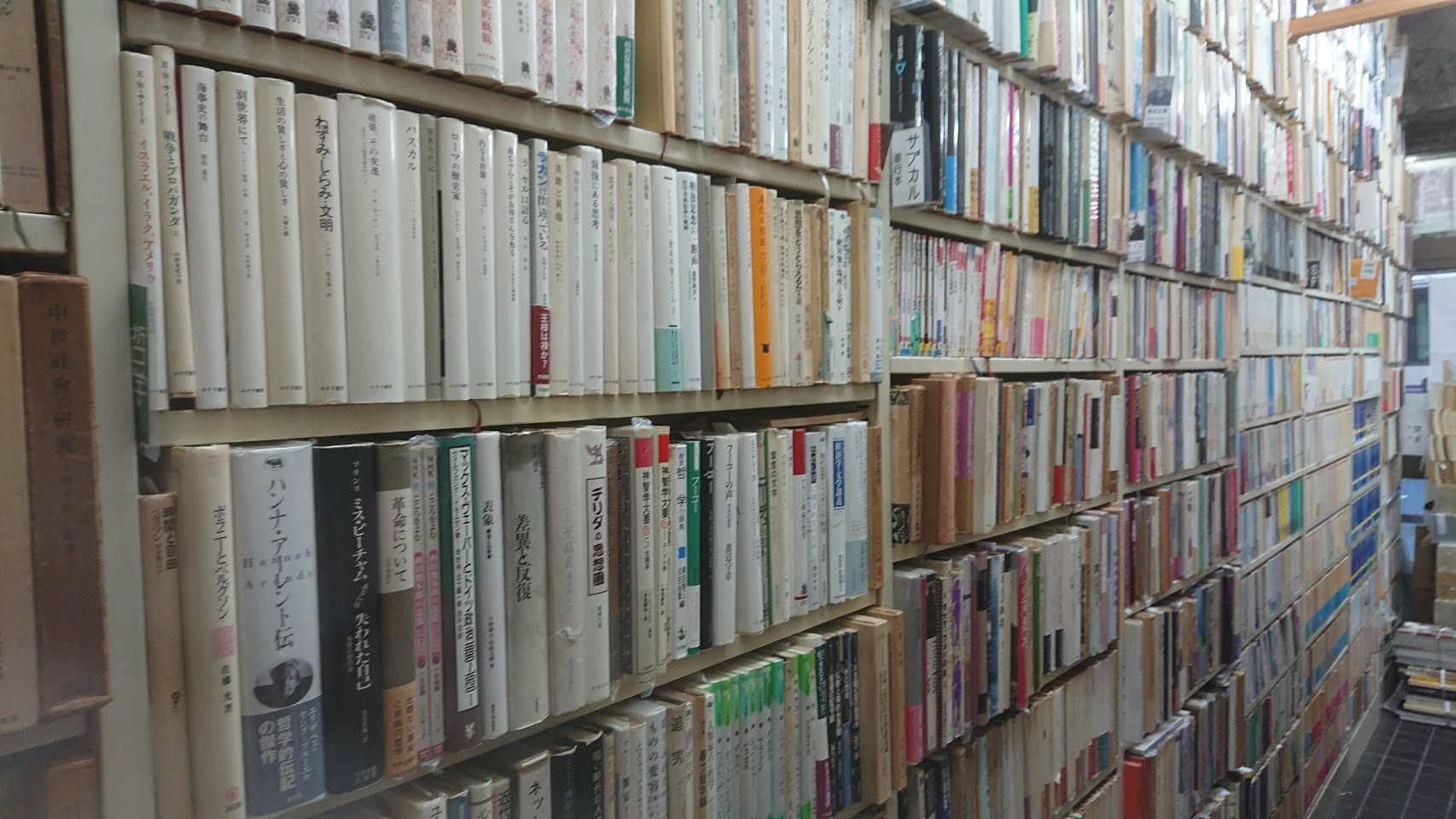img20240511174537966941.jpg